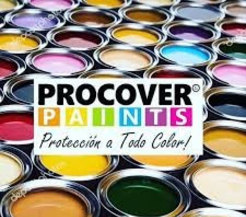 Pintar Y Cambiar Fachada Venta De Pinturas Santo Domingo - Imagen 7