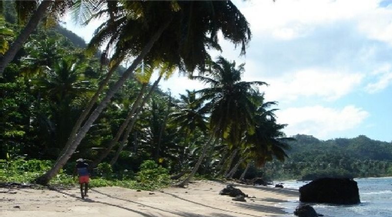 Terrenos En Lineas De Playa, Solares En La Ciudad Y Fincas En Venta! (Rd) - Imagen 9